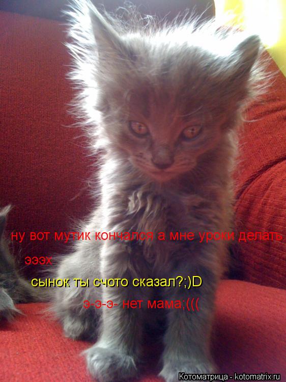 ну вот мутик кончался а мне уроки делать эээх сынок ты счото сказал?;)D э-э-э- нет мама;(((... Котоматрица: ну вот мутик кончался а мне уроки делать эээх сынок ты счото сказал?;)D э-э-э- нет мама;(((