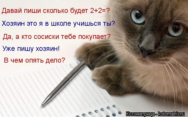 Давай пиши сколько будет 2+2=? Хозяин это я в школе учишься ты? Да, а кто сосиски тебе покупает? Уже ... Котоматрица: Давай пиши сколько будет 2+2=? Хозяин это я в школе учишься ты? Да, а кто сосиски тебе покупает? Уже пишу хозяин! В чем опять дело?