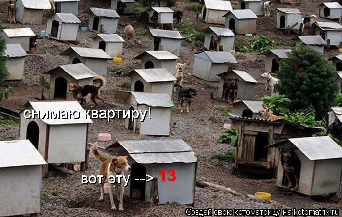 13 13 снимаю квартиру! вот эту -->... Котоматрица: 13 13 снимаю квартиру! вот эту -->