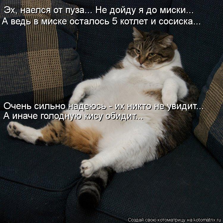 Эх, наелся от пуза... Не дойду я до миски... А ведь в миске осталось 5 котлет и сосиска... Очень силь... Котоматрица: Эх, наелся от пуза... Не дойду я до миски... А ведь в миске осталось 5 котлет и сосиска... Очень сильно надеюсь - их никто не увидит... А иначе голод