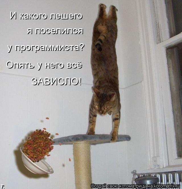 И какого лешего я поселился у программиста? Опять у него всё ЗАВИСЛО!... Котоматрица: И какого лешего я поселился у программиста? Опять у него всё ЗАВИСЛО!