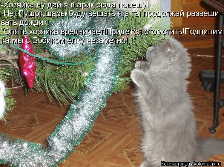 -Хозяйка,ну дай я шарик сюда повешу! -Нет,Пушок,шары буду вешать я,а ты продолжай развеши- вать дожди... Котоматрица: -Хозяйка,ну дай я шарик сюда повешу! -Нет,Пушок,шары буду вешать я,а ты продолжай развеши- вать дождик! "Опять хозяйка вредничает!Придётся ото