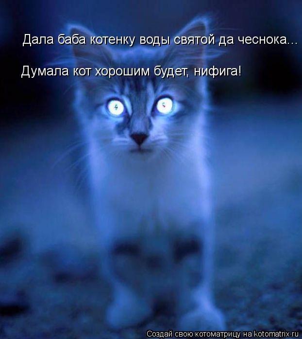 Дала баба котенку воды святой да чеснока... Думала кот хорошим будет, нифига!... Котоматрица: Дала баба котенку воды святой да чеснока... Думала кот хорошим будет, нифига!