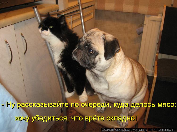 - Ну рассказывайте по очереди, куда делось мясо: хочу убедиться, что врёте складно!... Котоматрица: - Ну рассказывайте по очереди, куда делось мясо: хочу убедиться, что врёте складно!