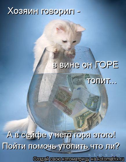 Хозяин говорил - в вине он ГОРЕ топит... А в сейфе у него горя этого! Пойти помочь утопить что ли?... Котоматрица: Хозяин говорил - в вине он ГОРЕ топит... А в сейфе у него горя этого! Пойти помочь утопить что ли?
