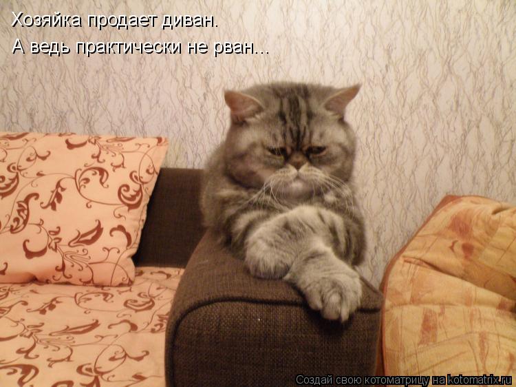 Хозяйка продает диван. А ведь практически не рван...... Котоматрица: Хозяйка продает диван. А ведь практически не рван...
