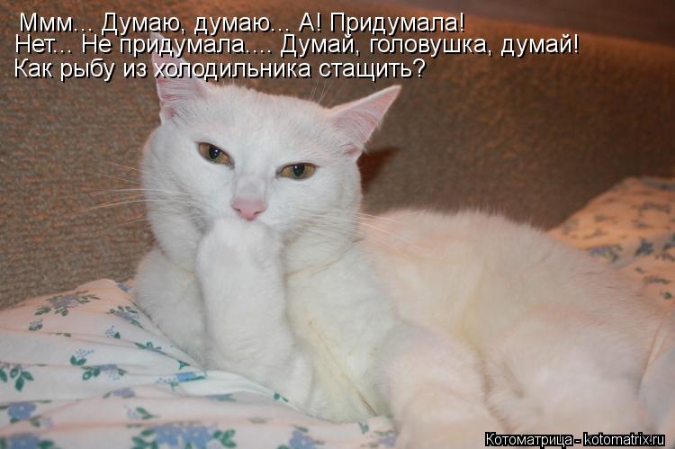 Ммм... Думаю, думаю... А! Придумала! Нет... Не придумала.... Думай, головушка, думай! Как рыбу из хо... Котоматрица: Ммм... Думаю, думаю... А! Придумала! Нет... Не придумала.... Думай, головушка, думай! Как рыбу из холодильника стащить?