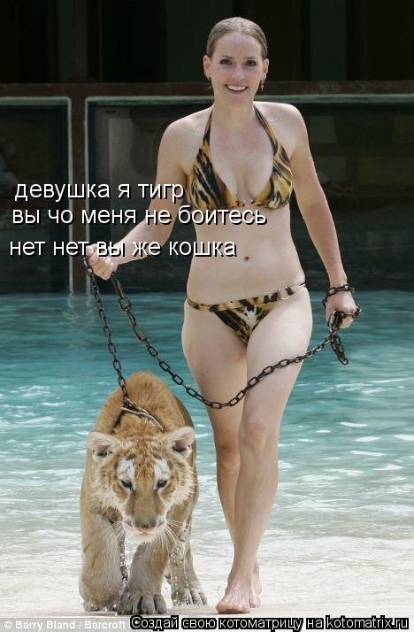 девушка я тигр вы чо меня не боитесь нет нет вы же кошка... Котоматрица: девушка я тигр вы чо меня не боитесь нет нет вы же кошка