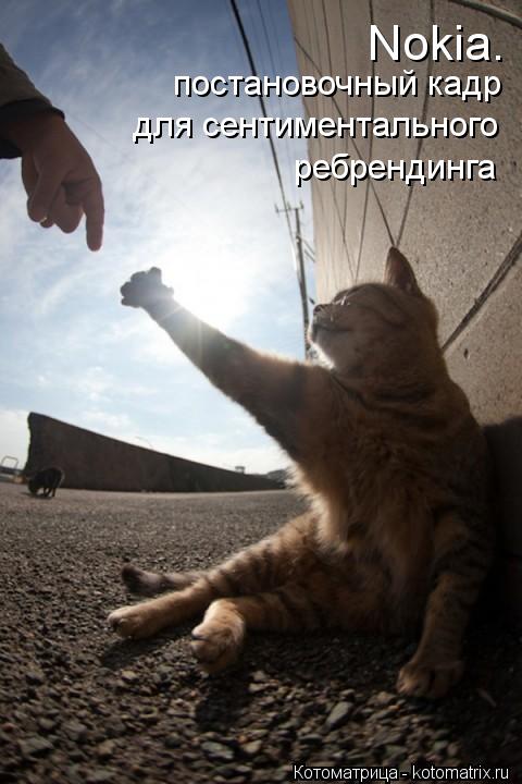 Nokia. постановочный кадр для сентиментального ребрендинга... Котоматрица: Nokia. постановочный кадр для сентиментального ребрендинга