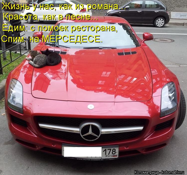 Жизнь у нас, как из романа… Красота, как в песне… Едим: с помоек ресторана, Спим: на МЕРСЕДЕСЕ.... Котоматрица: Жизнь у нас, как из романа… Красота, как в песне… Едим: с помоек ресторана, Спим: на МЕРСЕДЕСЕ.