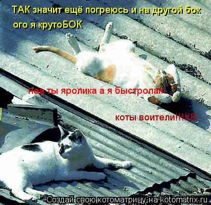 ТАК значит ещё погреюсь и на другой бок ого я крутоБОК неа ты яролика а я быстролап коты воители!!!КВ... Котоматрица: ТАК значит ещё погреюсь и на другой бок ого я крутоБОК неа ты яролика а я быстролап коты воители!!!КВ