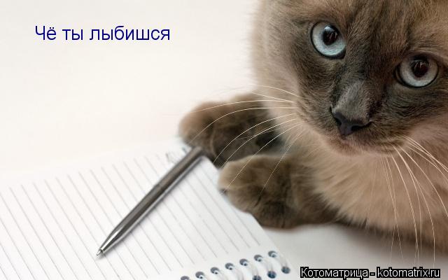 Чё ты лыбишся... Котоматрица: Чё ты лыбишся