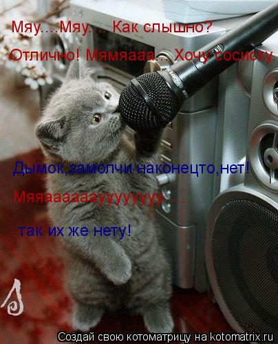 Мяу....Мяу.... Как слышно? Отлично! Мямяааа... Хочу сосиску. Дымок,замолчи наконецто,нет! Мяяаааааауу... Котоматрица: Мяу....Мяу.... Как слышно? Отлично! Мямяааа... Хочу сосиску. Дымок,замолчи наконецто,нет! Мяяаааааауууууууу..... так их же нету!