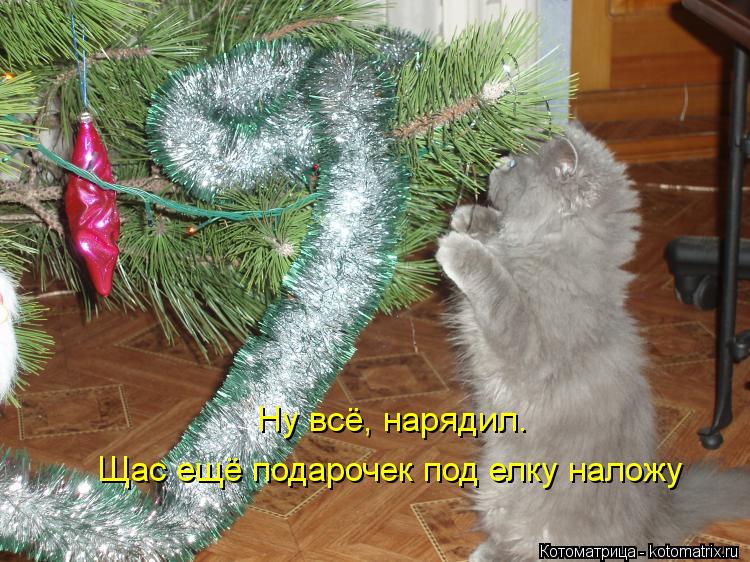 Ну всё, нарядил. Щас ещё подарочек под елку наложу... Котоматрица: Ну всё, нарядил. Щас ещё подарочек под елку наложу