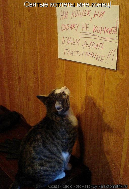 Святые котлеты мне конец!... Котоматрица: Святые котлеты мне конец!