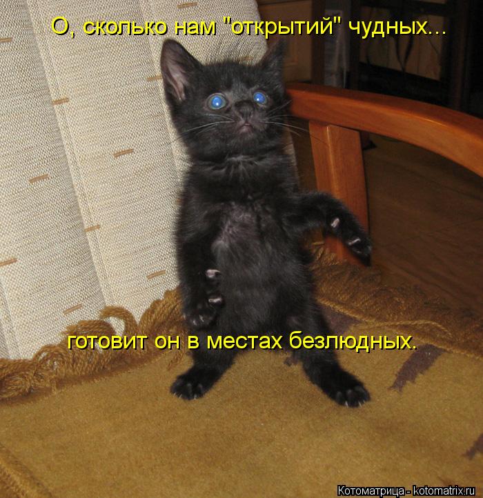 Котоматрица: О, сколько нам "открытий" чудных... готовит он в местах безлюдных.