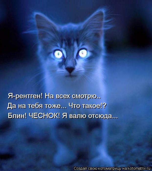 Я-рентген! На всех смотрю.. Да на тебя тоже... Что такое!? Блин! ЧЕСНОК! Я валю отсюда...... Котоматрица: Я-рентген! На всех смотрю.. Да на тебя тоже... Что такое!? Блин! ЧЕСНОК! Я валю отсюда...