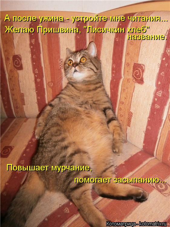А после ужина - устройте мне читания... название. Повышает мурчание, помогает засыпанию... Желаю При... Котоматрица: А после ужина - устройте мне читания... название. Повышает мурчание, помогает засыпанию... Желаю Пришвина, "Лисичкин хлеб"