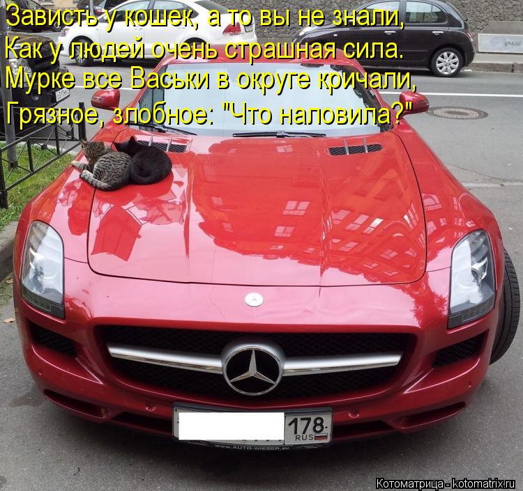 Зависть у кошек, а то вы не знали, Как у людей очень страшная сила. Мурке все Васьки в округе кричали... Котоматрица: Зависть у кошек, а то вы не знали, Как у людей очень страшная сила. Мурке все Васьки в округе кричали, Грязное, злобное: "Что наловила?"