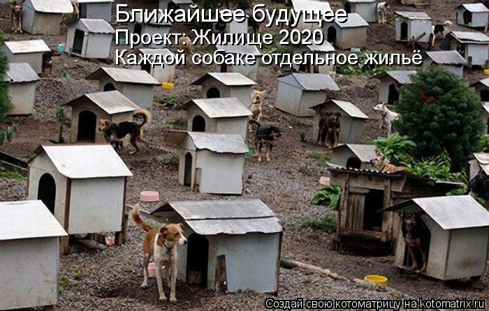 Ближайшее будущее Проект: Жилище 2020 Каждой собаке отдельное жильё... Котоматрица: Ближайшее будущее Проект: Жилище 2020 Каждой собаке отдельное жильё