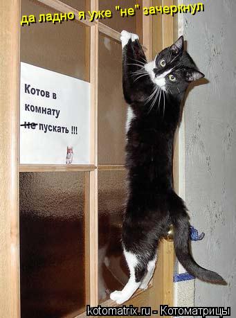 --- да ладно я уже "не" зачеркнул... Котоматрица: --- да ладно я уже "не" зачеркнул