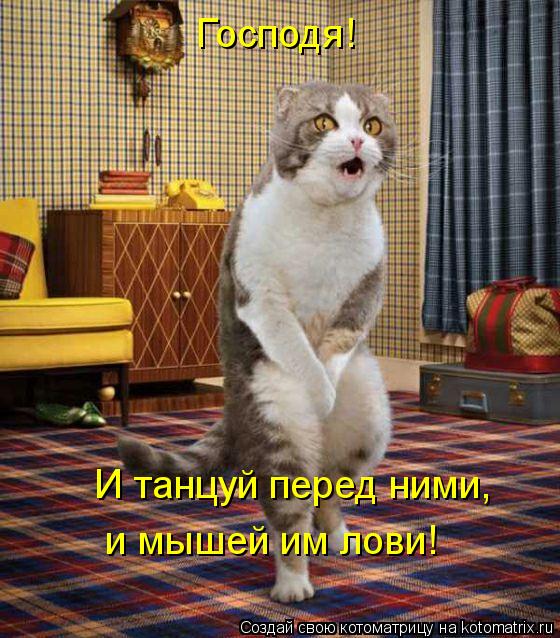 Господя! И танцуй перед ними, и мышей им лови!... Котоматрица: Господя! И танцуй перед ними, и мышей им лови!