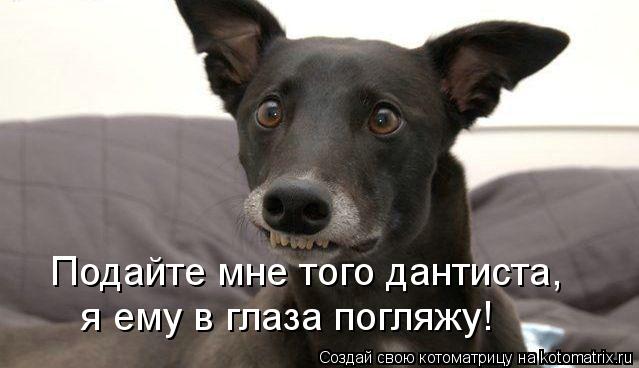 Подайте мне того дантиста, я ему в глаза погляжу!... Котоматрица: Подайте мне того дантиста, я ему в глаза погляжу!