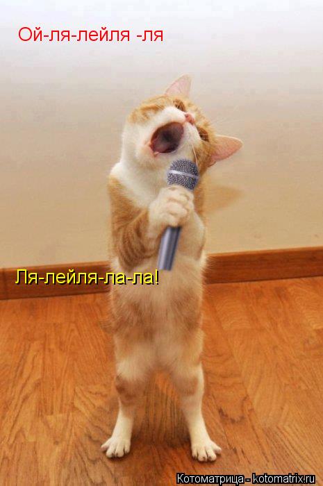 Ля-лейля-ла-ла! Ой-ля-лейля -ля Ой-ля-лейля -ля Ой-ля-лейля -ля... Котоматрица: Ля-лейля-ла-ла! Ой-ля-лейля -ля Ой-ля-лейля -ля Ой-ля-лейля -ля