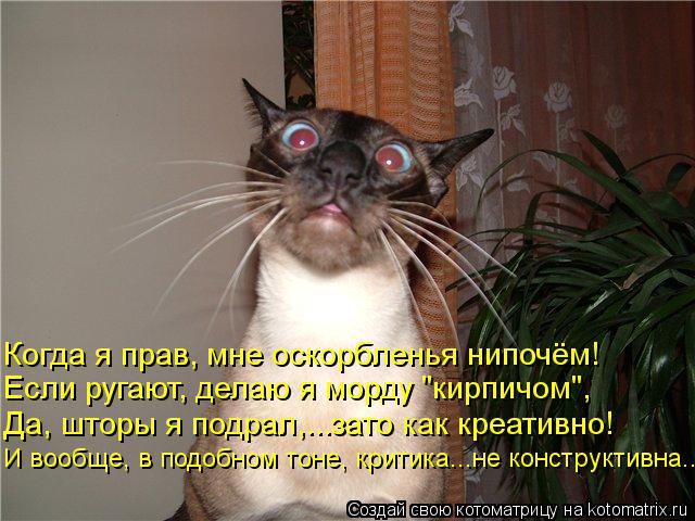 Когда я прав, мне оскорбленья нипочём! Если ругают, делаю я морду "кирпичом", И вообще, в подобном то... Котоматрица: Когда я прав, мне оскорбленья нипочём! Если ругают, делаю я морду "кирпичом", И вообще, в подобном тоне, критика...не конструктивна... Да, шторы
