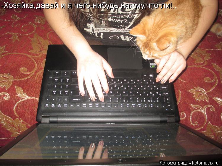 -Хозяйка,давай и я чего-нибудь нажму,что ли!..... Котоматрица: -Хозяйка,давай и я чего-нибудь нажму,что ли!..