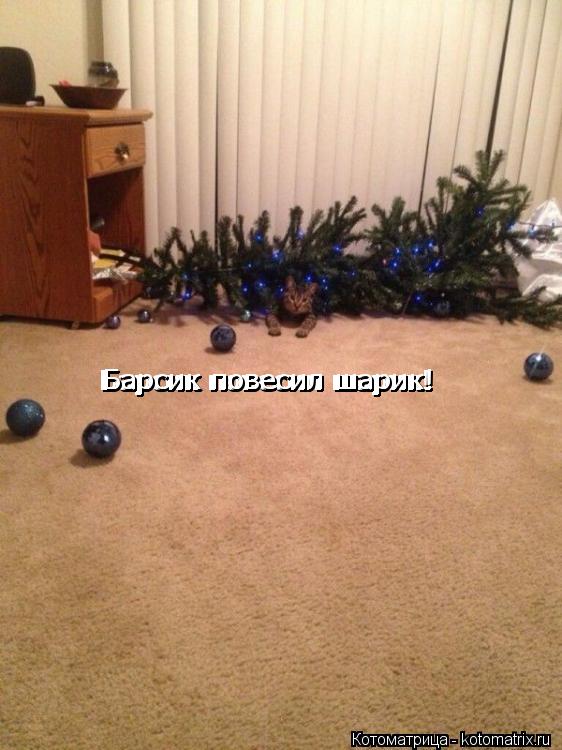Барсик повесил шарик! Барсик повесил шарик! Барсик повесил шарик!... Котоматрица: Барсик повесил шарик! Барсик повесил шарик! Барсик повесил шарик!