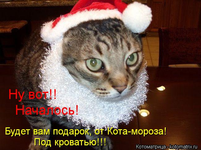 Ну вот!! Началось! Под кроватью!!! Будет вам подарок, от Кота-мороза!... Котоматрица: Ну вот!! Началось! Под кроватью!!! Будет вам подарок, от Кота-мороза!