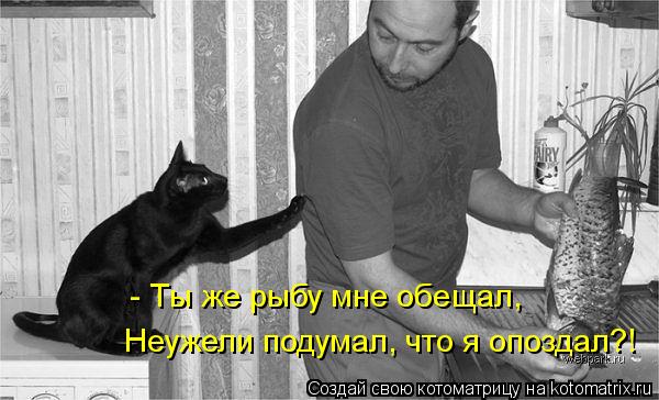 - Ты же рыбу мне обещал, Неужели подумал, что я опоздал?!... Котоматрица: - Ты же рыбу мне обещал, Неужели подумал, что я опоздал?!