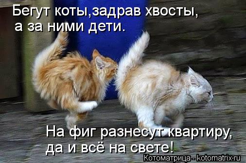 Бегут коты,задрав хвосты, а за ними дети. На фиг разнесут квартиру, да и всё на свете!... Котоматрица: Бегут коты,задрав хвосты, а за ними дети. На фиг разнесут квартиру, да и всё на свете!