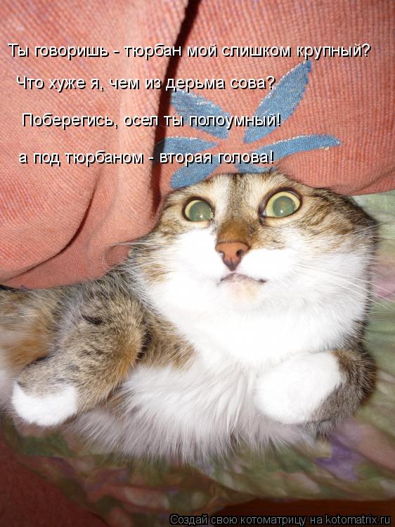Ты говоришь - тюрбан мой слишком крупный? Что хуже я, чем из дерьма сова? Поберегись, осел ты полоумн... Котоматрица: Ты говоришь - тюрбан мой слишком крупный? Что хуже я, чем из дерьма сова? Поберегись, осел ты полоумный! а под тюрбаном - вторая голова!