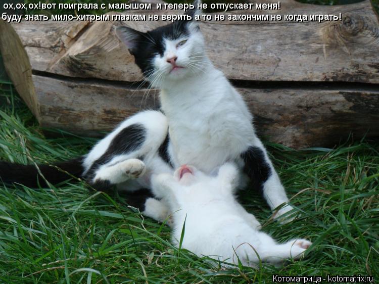 Котоматрица: ох,ох,ох!вот поиграла с малышом  и теперь не отпускает меня! в преть буду знаь буду знать мило-хитрым глазкам не верить а то не закончим не ко