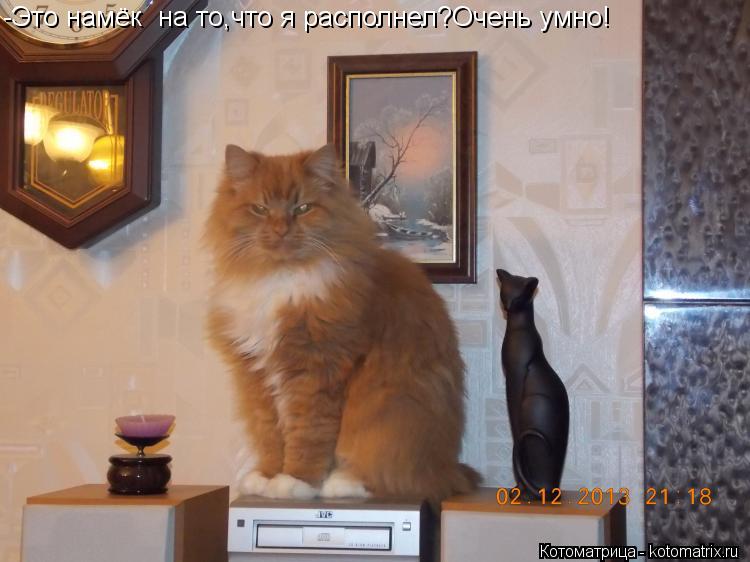 -Это намёк на то,что я располнел?Очень умно!... Котоматрица: -Это намёк на то,что я располнел?Очень умно!