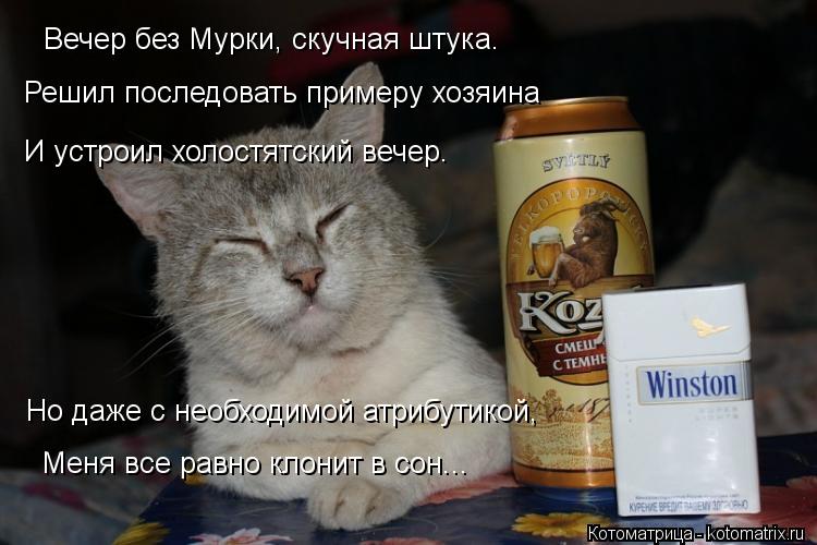 Вечер без Мурки, скучная штука. Решил последовать примеру хозяина И устроил холостятский вечер. Но ... Котоматрица: Вечер без Мурки, скучная штука. Решил последовать примеру хозяина И устроил холостятский вечер. Но даже с необходимой атрибутикой, Меня в