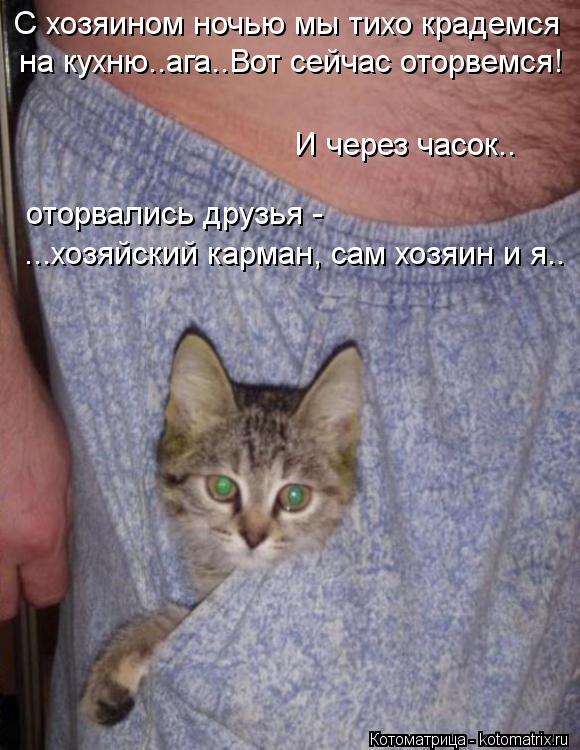 С хозяином ночью мы тихо крадемся на кухню..ага..Вот сейчас оторвемся! И через часок.. оторвались дру... Котоматрица: С хозяином ночью мы тихо крадемся на кухню..ага..Вот сейчас оторвемся! И через часок.. оторвались друзья - ...хозяйский карман, сам хозяин и я..