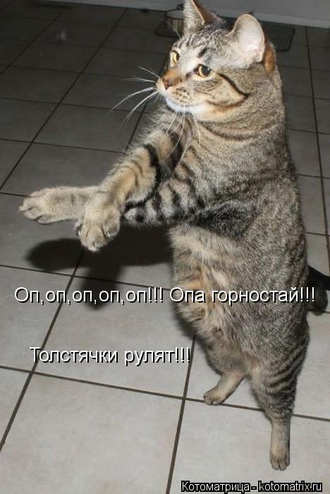 Котоматрица: Оп,оп,оп,оп,оп!!! Опа горностай!!! Толстячки рулят!!!