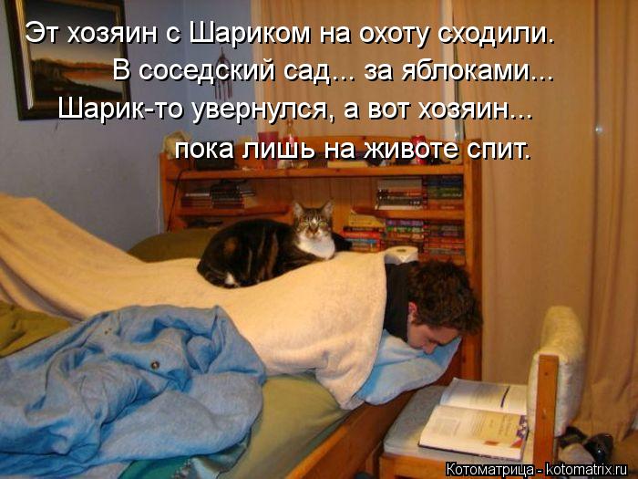 Эт хозяин с Шариком на охоту сходили. В соседский сад... за яблоками... Шарик-то увернулся, а вот хоз... Котоматрица: Эт хозяин с Шариком на охоту сходили. В соседский сад... за яблоками... Шарик-то увернулся, а вот хозяин... пока лишь на животе спит.