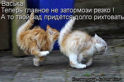 Васька! Теперь главное не затормози резко ! А то твой зад придётся долго рихтовать!... Котоматрица: Васька! Теперь главное не затормози резко ! А то твой зад придётся долго рихтовать!