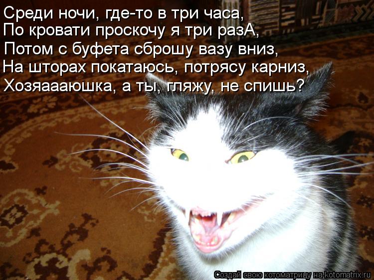 Среди ночи, где-то в три часа, По кровати проскочу я три разА, Потом с буфета сброшу вазу вниз, На шт... Котоматрица: Среди ночи, где-то в три часа, По кровати проскочу я три разА, Потом с буфета сброшу вазу вниз, На шторах покатаюсь, потрясу карниз, Хозяаааюш