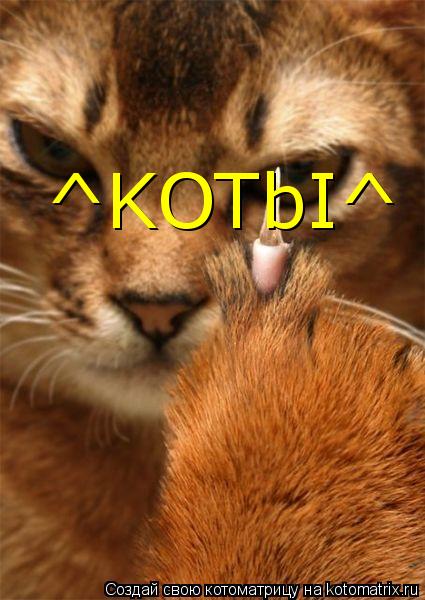 ^KOTbI^... Котоматрица: ^KOTbI^