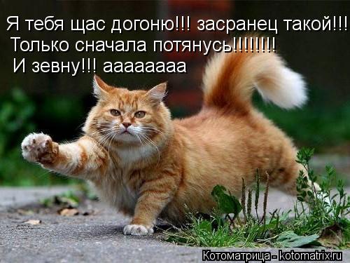 Я тебя щас догоню!!! засранец такой!!! Только сначала потянусь!!!!!!!! И зевну!!! аааааааа... Котоматрица: Я тебя щас догоню!!! засранец такой!!! Только сначала потянусь!!!!!!!! И зевну!!! аааааааа