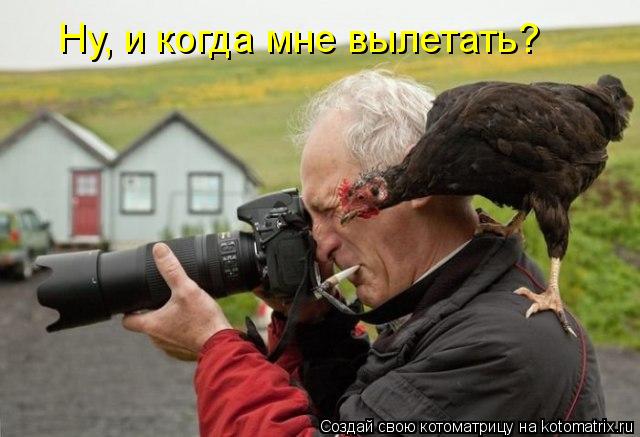 Ну, и когда мне вылетать?... Котоматрица: Ну, и когда мне вылетать?