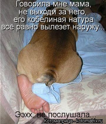 Говорила мне мама, не выходи за него, его кобелиная натура всё равно вылезет наружу... Ээхх, не пос... Котоматрица: Говорила мне мама, не выходи за него, его кобелиная натура всё равно вылезет наружу... Ээхх, не послушала...