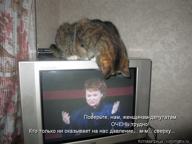 Котоматрица: ОЧЕНЬ трудно! Поверьте, нам, женщинам-депутатам, Кто только ни оказывает на нас давление... м-м... сверху...
