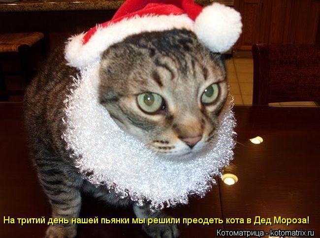 На тритий день нашей пьянки мы решили преодеть кота в Дед Мороза!... Котоматрица: На тритий день нашей пьянки мы решили преодеть кота в Дед Мороза!