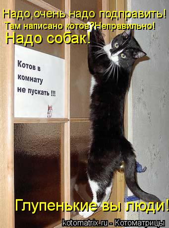 Надо,очень надо подправить! Там написано котов?Неправильно! Надо собак! Глупенькие вы люди!... Котоматрица: Надо,очень надо подправить! Там написано котов?Неправильно! Надо собак! Глупенькие вы люди!